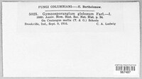 Gymnosporangium globosum image